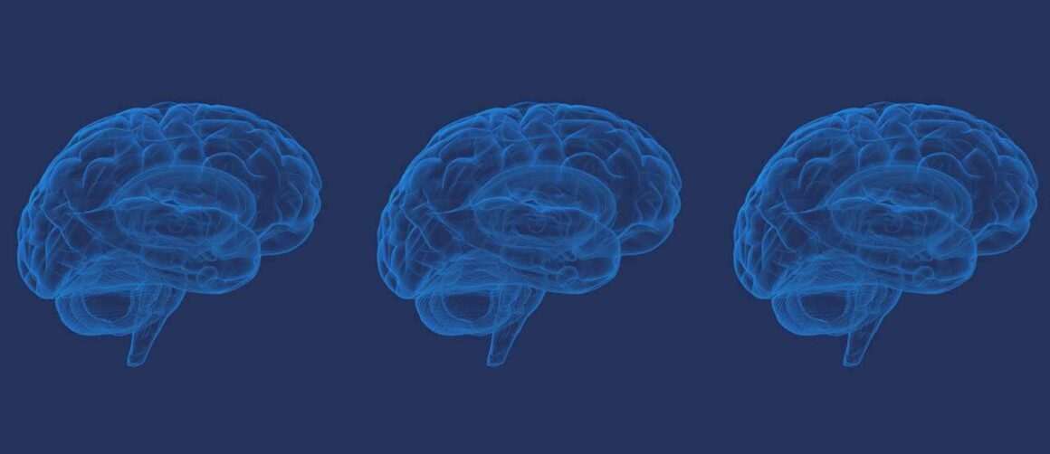 2026 Neuroscience Leadership Initiatives